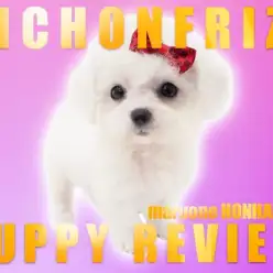 【 ビションフリーゼ 】ハイパー美少女現る！綿あめ界の女王ビションフリーゼ！