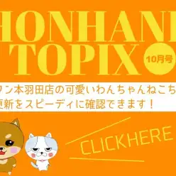【 HONHANEトピック10月号 】マルワン本羽田店の10月の配信情報！