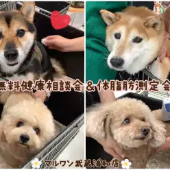 【 無料健康相談会＆体脂肪測定会 】今回は6組のご家族様が集合！