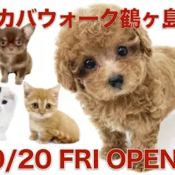 【 ワカバウォーク鶴ヶ島店オープン 】マルワンが埼玉県鶴ヶ島市にオープン！