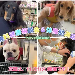 【 お知らせ 】11/21(火)無料健康相談会&体脂肪測定会開催！