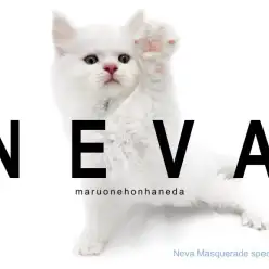 【 ネヴァマスカレード 】サイベリアンに続く次世代のスーパーヒーローはこの子だ！