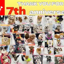 【 周年祭 】50頭のワンニャン大集合！マルワン横浜今宿店7歳のバースデー！