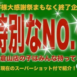 【 大感謝祭カウントダウン 】マルワン大倉山店自慢のナンバーワンベイビーズ紹介！