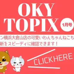 【 OKURAYAMA トピックス1月版】マルワン大倉山店の1月の情報配信を確認！
