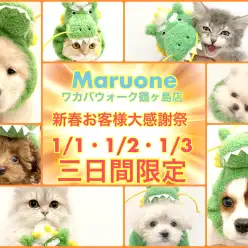 【 お知らせ 】2024年新春大感謝祭inワカバウォーク鶴ヶ島店