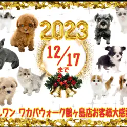 【 お知らせ 】来年は笑顔と思い出に溢れる年に！鶴ヶ島店の大感謝祭