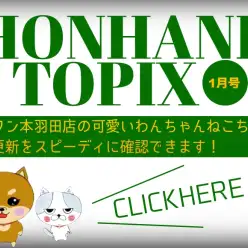 【 HONHANEトピックス1月号 】マルワン本羽田店の1月の配信情報！