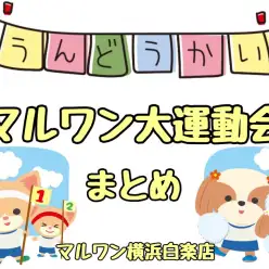 【 マルワン大運動会 】不定期開催中！マルワン大運動会まとめ