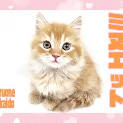 【 ミヌエット 】温厚で短足のレッドタビーの爆毛イケメンにゃんこあらわる!