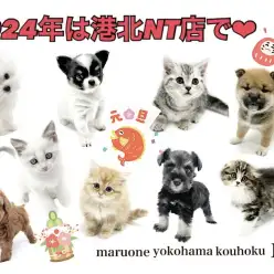 【 お知らせ 】2024年もマルワン港北NT店で！