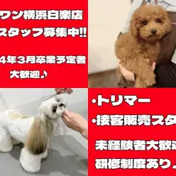 【 スタッフ募集 】マルワン横浜白楽店トリマー、接客販売スタッフ募集！