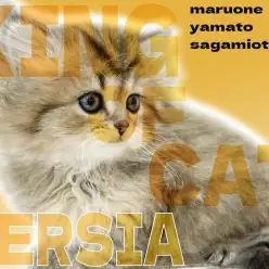 【 ペルシャ 】高貴なルックスは王の風格！でも性格はおっとりなマイペースな癒し系