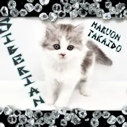 【 サイベリアン 】シルバータビーのゴージャスボディな癒し系ニャンコ登場！