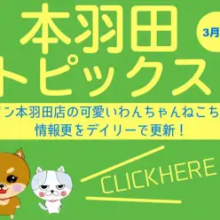 【 HONHANEトピックス3月号 】マルワン本羽田店3月の配信情報！