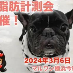【 今宿店イベント情報 】3/6（水）ワンちゃんの体脂肪測定会のお知らせ！