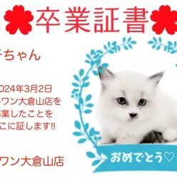 【卒業証書】ハチちゃん卒業おめでとう！！スタッフママより愛を込めて！
