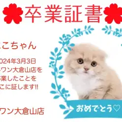 【卒業証書】ニコちゃん卒業おめでとう！！スタッフママより愛を込めて！
