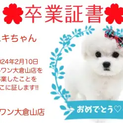 【卒業証書】ゆきちゃん卒業おめでとう！！スタッフママより愛を込めて！