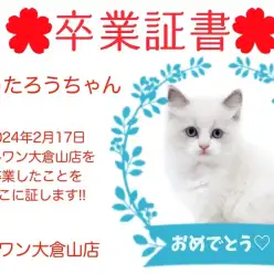 【卒業証書】くうたろうちゃん卒業おめでとう！！スタッフママより愛を込めて！