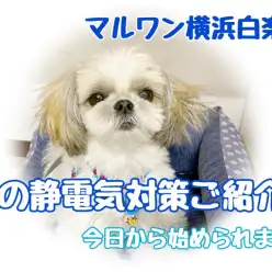 【 お役立て情報 】気になる静電気に！今日から始められるおすすめ対策方法ご紹介