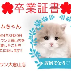 【 卒業証書 】リムちゃん卒業おめでとう！！スタッフママより愛を込めて！