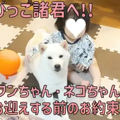 【 ちびっこ諸君へ 】お子様がいるご家庭でペットちゃんをお迎えする前のお約束!