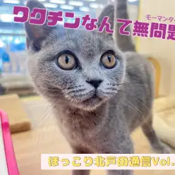 【 ほっこり北戸田通信Vol.21 】ワクチンなんてへっちゃらよ!