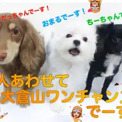 【 社交性トレーニング 】大倉山店自慢トリオ！今の時期に大切な経験をしています！