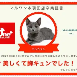 【 卒業記念 】エルちゃん卒業おめでとう！今までの感謝を込めて〜卒業ブログ〜