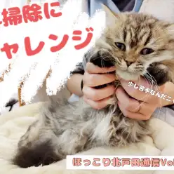 【 ほっこり北戸田通信Vol.24 】苦手を克服チャレンジ！