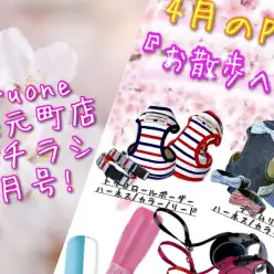 【 商品レビュー 】横浜元町店WEBチラシ4月号！