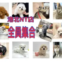 【 港北NT通信 】4月14日在籍中の港北NT店の可愛子ちゃん、全員集合！