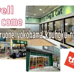 【 港北NT店通信 】オリンピック1階になった港北NT店をご紹介！