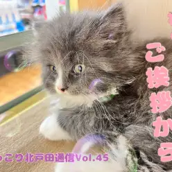【 ほっこり北通Vol.45 】はじめましてノルちゃん