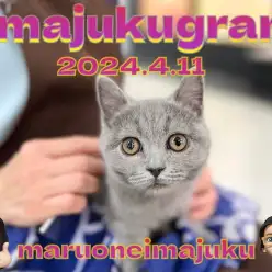 【 イマジュクグラム 】無防備な癒し系ブリティッシュちゃまのお昼寝姿を大公開！