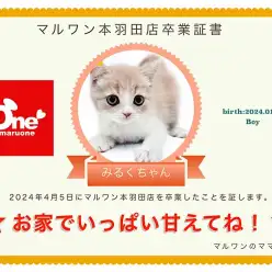 【 卒業記念 】みるくちゃん卒業おめでとう！今までの感謝を込めて〜卒業ブログ〜
