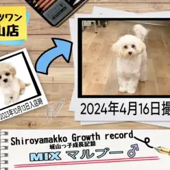 【 MIX 】 城山っ子成長報告!2024年4月23日