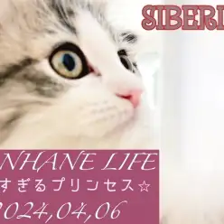 【 サイベリアン成長ログ 】美しさに磨きがかかるプリンセス！