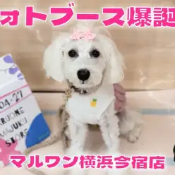 【 イマジュクグラム 】四季が楽しめる今宿店のフォトブース爆誕のお知らせ！