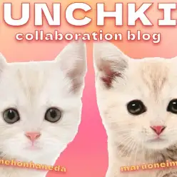 【 今宿店本羽田店コラボブログ 】答え合わせ!マンチカンマニアでSHOWタイム!