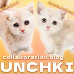 【 今宿店本羽田店コラボブログ 】兄弟マンチカンどっちでSHOWタイム！