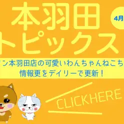 【 HONHANEトピックス4月号 】マルワン本羽田店4月の配信情報！