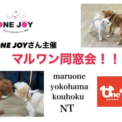 【 お役立て情報 】ONEJOYさん主催『マルワン同窓会』に密着！