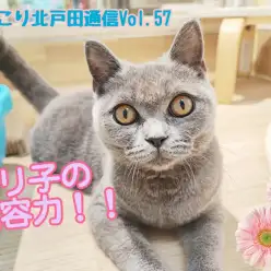 【 ほっこり北通Vol.57 】包容力抜群のブリちゃん