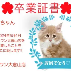 【卒業証書】ゾイちゃん卒業おめでとう！！スタッフママより愛を込めて！