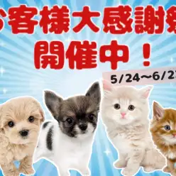 【 お知らせ 】本日からスタート！マルワン北戸田店でお客様大感謝祭開催中！