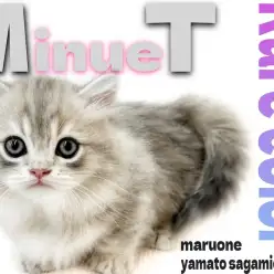 【 ミヌエット 】超レアカラー！ひな祭りに生まれた美形で甘えん坊な愛すべき短足猫