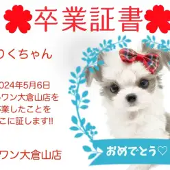 【卒業証書】りくちゃん卒業おめでとう！！スタッフママより愛を込めて！