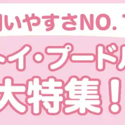 【 トイプードル特集 】6/6現在在店中の不動の人気を誇るトイプードルちゃん！